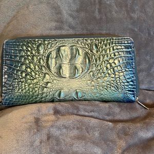Brahmin clutch